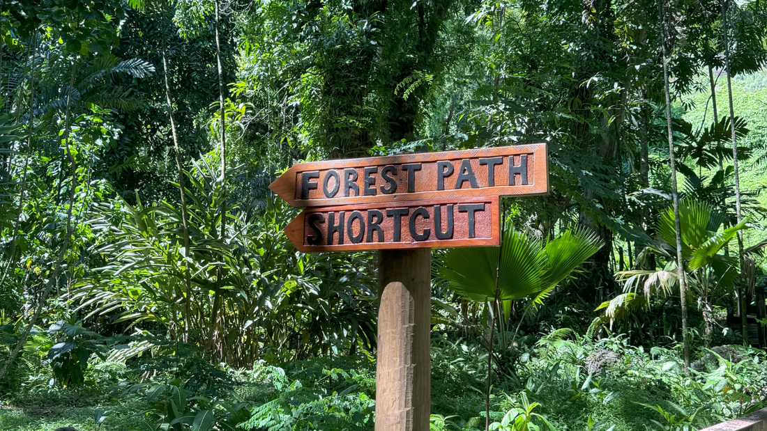 Discover the Garden of the Sleeping Giant: A Botanical Paradise Near Nadi International Airport