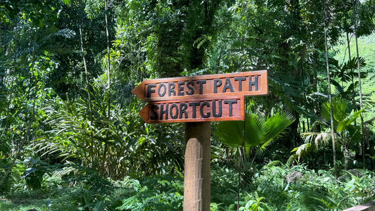 Discover the Garden of the Sleeping Giant: A Botanical Paradise Near Nadi International Airport