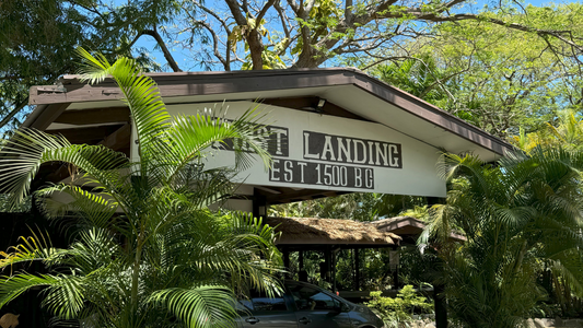 Bunda Beach Market - A Monthly Event to Experience the Charm of Fiji