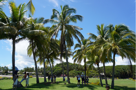 Why Modern Life Feels So Overwhelming — And What Fiji Does Differently
