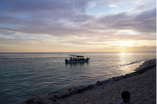 Why People Are Drawn to Fiji in Today’s Developed World