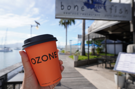 A Morning Walk Around Port Denarau Marina with a Coffee in Hand