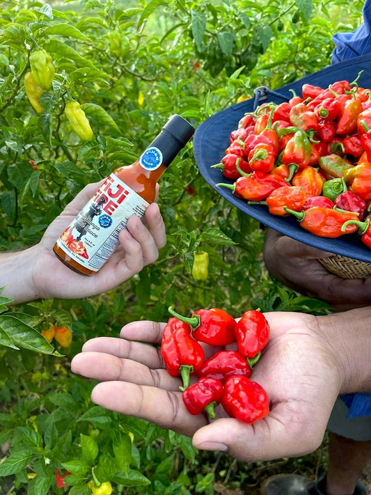 The Spicy Ritual: Awakening Mind and Body with Fiji Fire Bongo Chilli Sauce