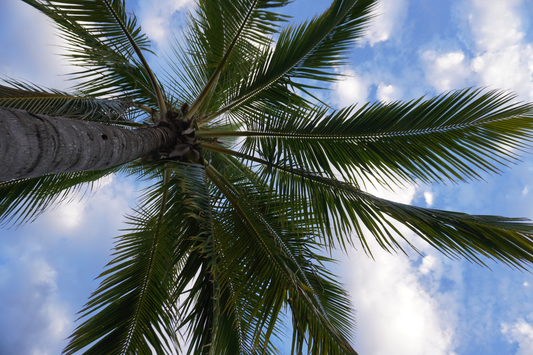 Living in Fiji — Almost 2 Years In